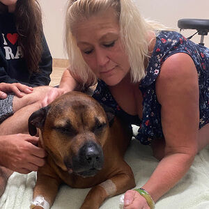 Meet your Posher, Jill